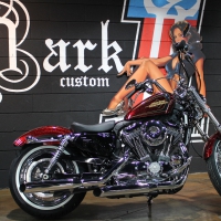 Red Rock Harley