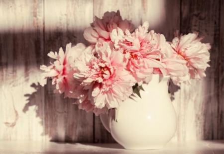 Still life - abstract, flowers, pink, soft