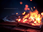 Burning Book