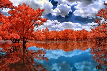 Reflection of Lakes - lakes, naturre, trees, clouds, water