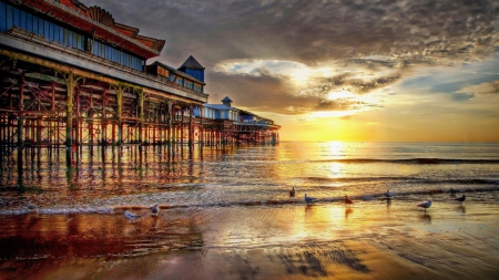 magnificent pier at sunset hdr - beach, pier, sunset, sea, birds, waves, hdr