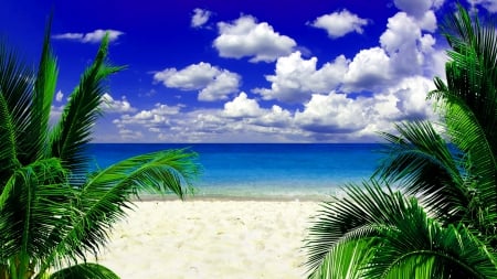 HEAVENLY SUMMER - summer, sky, tropics, clouds, beach, palms, nature