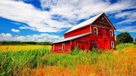 the red barn on a summer day - fields, sky, clouds, red, barn