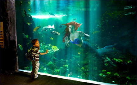 Little Boy and Mermaid - wallpaper, digital, pretty, beautiful, sweet, girl, art, fantasy, mermaid, photography, woman, boy