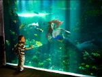 Little Boy and Mermaid