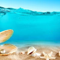 treasures of the ocean