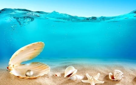 treasures of the ocean - water, summer, blue, beach, sea, ocean, sand, shell, ground, shells, SkyPhoenixX1, underwater, waves, pearl, treasures