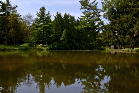 Beautiful Summer Day - beautiful summer, pond, beautiful lake, scenic lake, Beautiful Summer Day, summer day