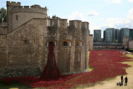 WWI Centenary at the Tower of London - medieval, london, poppies, castle