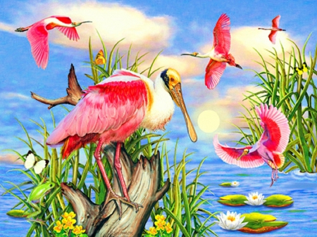 'Roseate Spoonbill-Larger Birds' - birds, summer, attractions in dreams, butterflies, flowers, butterfly designs, fabulous, water, beautiful, paintings, colors, lovely, creativer pre-made, bright, love four seasons, paintings animals, animals