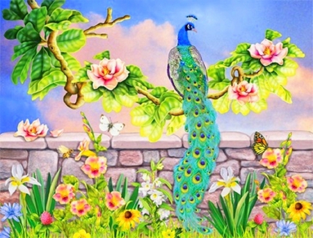 ✬Peacock in Magnolia✬ - birds, summer, attractions in dreams, gardens, butterflies, flowers, butterfly designs, beautiful, paintings, colors, lovely, creativer pre-made, magnolia, peacock, bright, love four seasons, paintings animals, animals