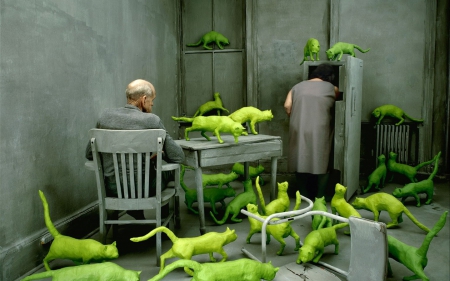 Obsession - Obsession, creative, man, cat, Sandy Skoglund, animal, green, woman, situation, couple