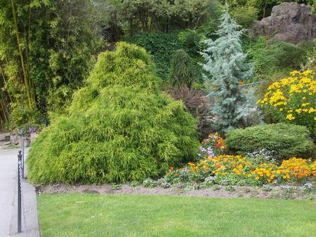 well manicured garden and plants - plants, flowers, manicured garden, park