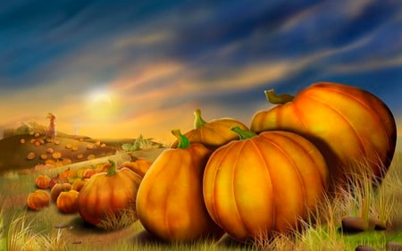 Pumpkin Field