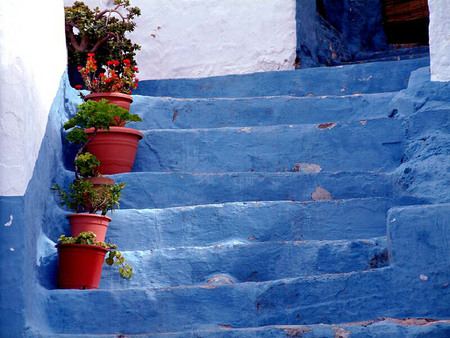 The blue steps Velez de Benadaulla Andalucia - steps, blue