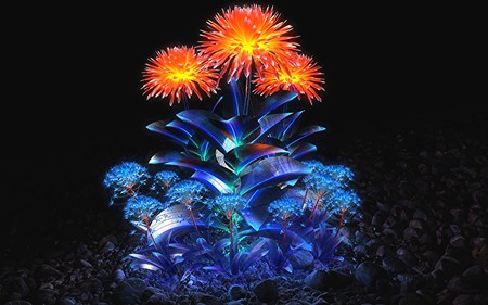 3D Flowers - art, flowers, 3d