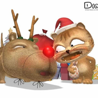 Ginga Cat at Christmas