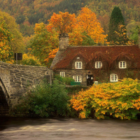 Bridge over Lake