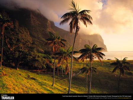 Paradise Found - beaches, nature, palm trees, paradise, australia, tropical, coast