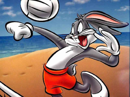 Beach Volley Ball Bugsy - bugs bunny, ocean, beach, rabbit, net, sand, volley ball