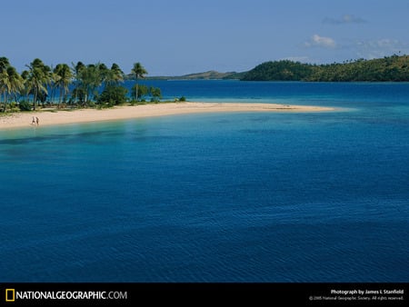 South Pacific White Sand Beach - white sand, nature, tropical, beaches, palm trees, ocean, south pacific