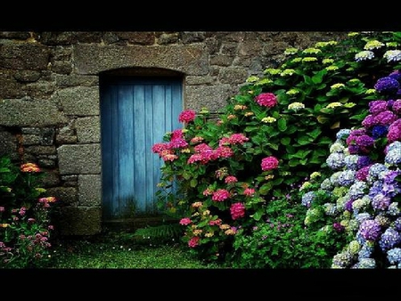 another blue door - door, blue