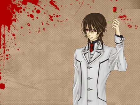 vampire knight - anime, vampire knight