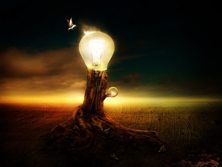 The Lightbulb Tree - tree, lightbulb, dark, dove