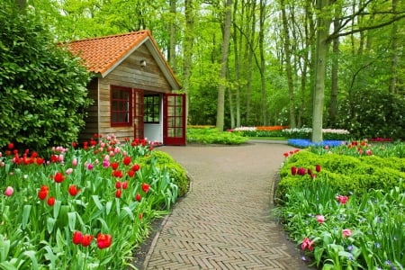 Beautiful park - freshness, trees, greenery, tulips, park, summer, lovely, nature, beautiful, house, alleys, flowers, grass, garden