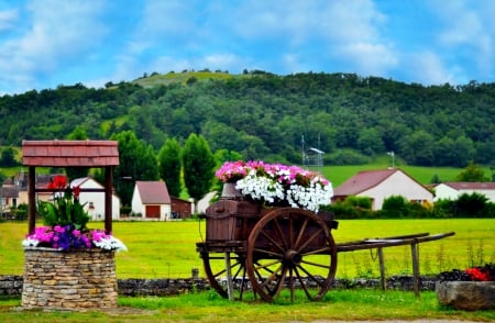 Rural landscape - hills, cart, well, landscape, grass, meadow, rustic, mountain, village, flowers, nature, cottages, houses, peaceful, rural