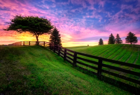 Sunrise over field - summer, amazing, beautiful, sunrise, grass, meadow, lovely, fence, tree, colorful, nature, field, sky