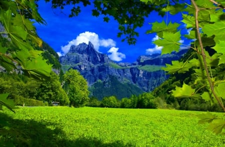 View of majestic mountain peak - greenery, summer, beautiful, majestic, grass, lovely, leaves, mountain, tree, view, peak, cliffs, sky, rocks