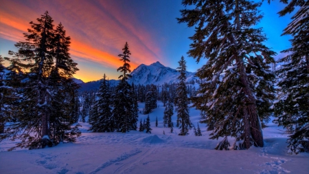 gorgeous winterscape at sunset hdr - mountains, winter, trees, sunset, hdr