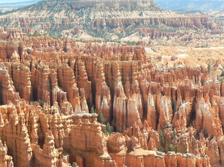 Bryce Canyon - utah, usa, bryce, canyon