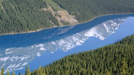 wonderful lake reflections - lake, reflection, forest, blue, mountains