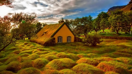 fantastic little country church - cemetery, trees, church, clouds, gtass