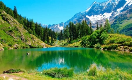 Schwarzsee Lake, Blatten - trees, green water, Alps, beautiful, snowy peaks, forest, nature, Switzerland, lake, mountains, Valais