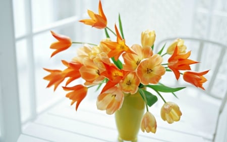 Elegant flower - orange, flowers, window, bloom