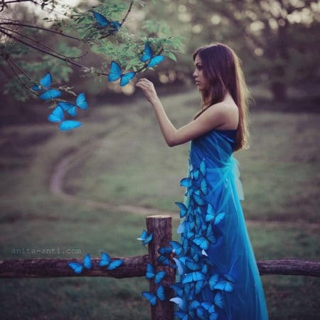 Blue beauty - lady, blue, model, butterflies