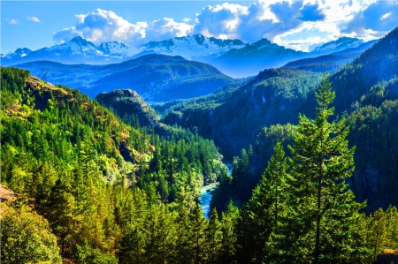 Majestic - trees, mountains, blue, sky