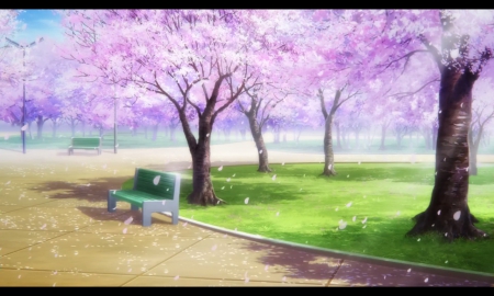 Blossom Park - pretty, anime, scenery, blossom, landscape, scene, pink, view, garden, bench, nice, sakura, cherry blossom, beautiful, scenic, beauty, lovely, sakura blossom, sweet, petals, shadow, tree, nature, green, shade, park