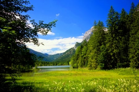 Mountain lake - lake, sky, landscape, hills, trees, mountin, meadow, serenity, nature, quiet, calmness, forest, beautiful, green, grass