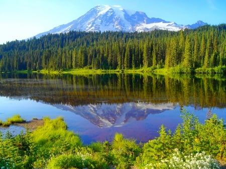 Lake reflections - l ovely, lake, mountain, trees, summer, mirrored, peak, serenity, nature, tranquility, calmness, forest, pretty, reflection, beautiful, grass