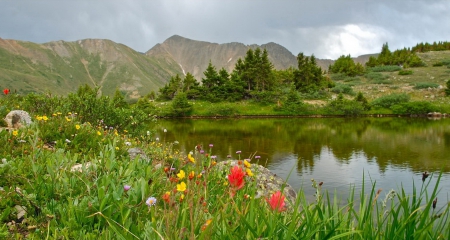 Tranquility - lake, sky, mountain, peaceful, greenery, lovely, rocks, serenity, nature, calmness, tranquil, beautiful, flowers, grass, wildflowers