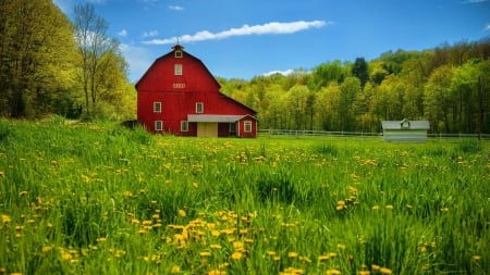 old red barn on a beautiful summer day - red, countryside, old, flowers, field, barn