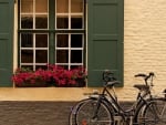 bicycles under a lovely window