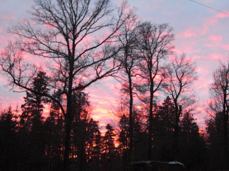 Forest in front of sunset - nature, sunset, forest, clouds