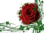 ROSE WITH CLOVER