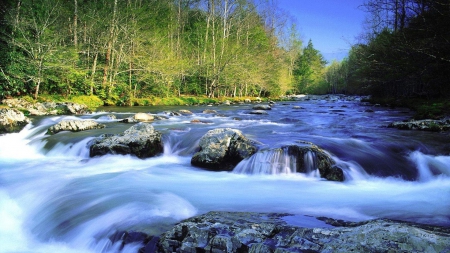 lovely fast flowing river - flowing, forest, rocks, river