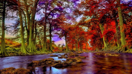 guadalupe river in texas during autumn hdr - rocks, river, trees, colors, hdr, autumn